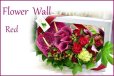 画像1: Flower Wall Red　花材はお任せ〜季節のお花で上品に仕上げます〜 (1)