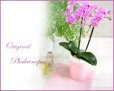 画像1: Original  Phalaenopsis -Pink- (1)