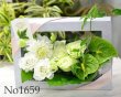 画像2: Flower Wall  White & Green　花材はお任せ〜季節のお花で上品に仕上げます〜 (2)