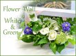 画像1: Flower Wall  White & Green　花材はお任せ〜季節のお花で上品に仕上げます〜 (1)