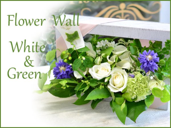 画像1: Flower Wall  White & Green　花材はお任せ〜季節のお花で上品に仕上げます〜 (1)