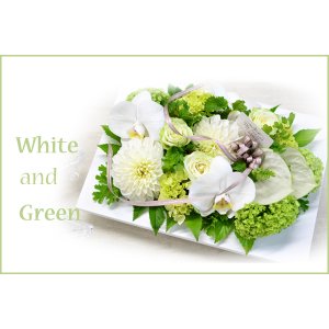 画像: Clearbox White ・ Green　花材はお任せ〜季節のお花で上品に仕上げます〜