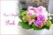 画像1: Pari's Style Arragement(Pink)  花材はお任せ〜季節のお花で上品に仕上げます〜