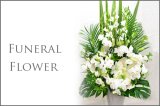 画像: Funeral Flower 花材はお任せ〜季節のお花で上品に仕上げます〜