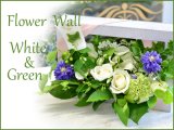 画像: Flower Wall  White & Green　花材はお任せ〜季節のお花で上品に仕上げます〜