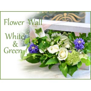 画像: Flower Wall  White & Green　花材はお任せ〜季節のお花で上品に仕上げます〜